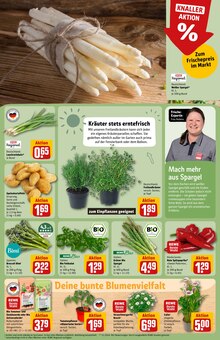 Pfanne im REWE Prospekt "Dein Markt" mit 34 Seiten (Heidelberg)