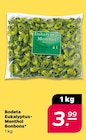 Netto mit dem Scottie Mönchhagen Prospekt mit  im Angebot für 3,99 €