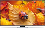 QLED TV Q55Q80ADTXZG bei expert im Münchberg Prospekt für 666,00 €