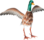 Canard métal à 19,99 € dans le catalogue Maxi Bazar