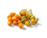 Physalis bei Lidl im Treuen Prospekt für 1,59 €