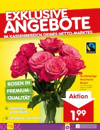 Pflanzen Angebot & Preis im aktuellen Netto Marken-Discount Prospekt Pflanzen Angebot im aktuellen Netto Marken-Discount Prospekt auf Seite 12