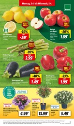Garten Angebot & Preis im aktuellen Lidl Prospekt Garten Angebot im aktuellen Lidl Prospekt auf Seite 3