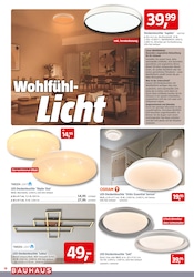 Deckenleuchte Angebote im Prospekt "Wenn's gut werden muss" von BAUHAUS auf Seite 18