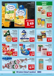 Aktueller Marktkauf Prospekt mit Ziegenkäse, "AUSWAHL RIESIG, PREISE NIEDRIG", Seite 20