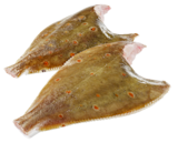 MSC Scholle von Metro Chef im aktuellen METRO Prospekt für 12,29 €