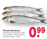 Aktuelles Frische Sardinen Angebot bei E center in Frankfurt (Main) ab 0,99 €