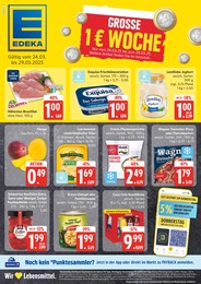 EDEKA Prospekt "Top Angebote" für Bleckede, 21 Seiten, 24.03.2025 - 29.03.2025