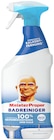 Badreiniger im Rossmann Prospekt Meister Proper Spray im aktuellen Rossmann Prospekt für 2,29 €
