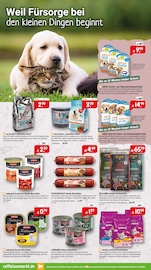 Aktueller Raiffeisenmarkt Prospekt mit Tierfutter, "Der Frühling ruft! Mach dich Bereit.", Seite 6