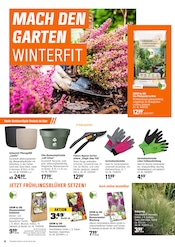 Blumentopf im OBI Prospekt in Hof Aktueller OBI Prospekt mit Blumentopf, "HERBSTZEIT IST PFLANZZEIT", Seite 4