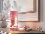 LED im Lidl Prospekt LED-Dekoleuchte von Livarno Home im aktuellen Lidl Prospekt für 4,99 €