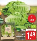 EDEKA Bad Bentheim - Mini Romanasalat Angebot im Prospekt Mini Romanasalat bei EDEKA im Bad Bentheim Prospekt für 1,49 €