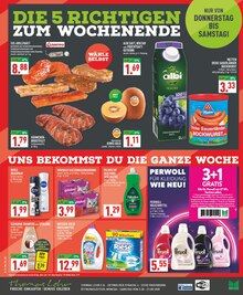 Katzenfutter im Marktkauf Prospekt "Aktuelle Angebote" mit 16 Seiten (Paderborn)