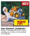 Solar-Dekolicht "Schildkröte" Angebote bei toom Baumarkt Brandenburg für 19,99 €