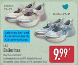 Ballerinas im Angebot bei ALDI Nord in Soest Ballerinas Angebote von L&D bei ALDI Nord Soest für 9,99 €
