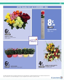 Offre Fleurs d'extérieur dans le catalogue E.Leclerc du moment à la page 15