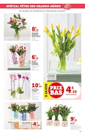 Fleurs Angebote im Prospekt "Super U" von Super U auf Seite 31