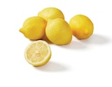 Promo Citrons à 0,95 € dans le catalogue Lidl à Ouistreham