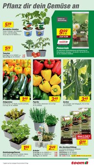 Tomaten im toom Baumarkt Prospekt "Respekt, wer's selber macht." mit 18 Seiten (Münster)