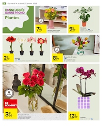 Offre Orchidée dans le catalogue Carrefour du moment à la page 76