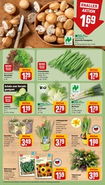 Ähnliche Gartenliege Angebote im Prospekt "Dein Markt" von REWE in Worms Ähnliche Angebote wie Gartenliege im Prospekt "Dein Markt" auf Seite 7 von REWE in Worms