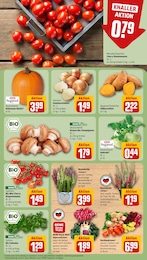 Braun Angebot & Preis im aktuellen REWE Prospekt Braun Angebot im aktuellen REWE Prospekt auf Seite 9