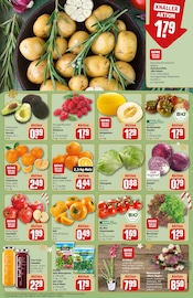 Blumen im REWE Prospekt in Worms Aktueller REWE Prospekt mit Blumen, "Dein Markt", Seite 12