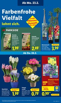 Gartenerde im Lidl Prospekt "LIDL LOHNT SICH" mit 67 Seiten (Mainz)