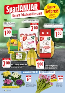 Blumen im EDEKA Prospekt "Aktuelle Angebote" mit 38 Seiten (Freiburg (Breisgau))