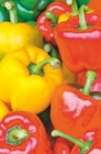 toom Baumarkt Hof - Paprika Angebot im Prospekt Paprika bei toom Baumarkt im Hof Prospekt für 3,29 €