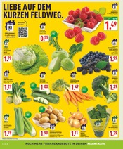 Stauden im Marktkauf Prospekt in Lemgo Aktueller Marktkauf Prospekt mit Stauden, "Aktuelle Angebote", Seite 2