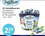 Heidelbeeren im V-Markt Prospekt XL Heidelbeeren von SanLucar im aktuellen V-Markt Prospekt für 2,29 €