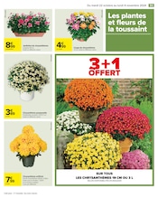 Chrysanthèmes Angebote im Prospekt "HAHA HALLOWEEN" von Carrefour auf Seite 57