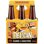 Bière - PÉLICAN en promo chez Carrefour Market Roanne à 5,87 €