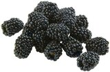 Brombeeren für 1,49 € bei REWE im Angebot Brombeeren im aktuellen REWE Prospekt