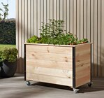 Hochbeet bei hagebau kompakt im Prospekt "" für 99,99 €