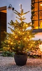 Getopfter Weihnachtsbaum Angebote bei OBI Euskirchen für 11,99 €