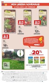 Ecorces De Pin Angebote im Prospekt "PROFITER ENFIN DE SON JARDIN : PLANTATIONS" von Carrefour Market auf Seite 4