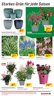 Blumentopf im toom Baumarkt Prospekt "Respekt, wer's selber macht." mit 32 Seiten (Mainz)