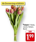 E center Frickenhausen Prospekt mit  im Angebot für 1,99 €