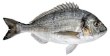 Aktuelle Fisch Angebote bei Lestra in Bremerhaven Aktuelles Dorade Royal Angebot bei Lestra in Bremerhaven ab 1,99 €