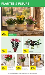 Prix et réduction Fleurs d'extérieur dans le prospectus Carrefour en cours Offre Fleurs d'extérieur dans le catalogue Carrefour du moment à la page 65