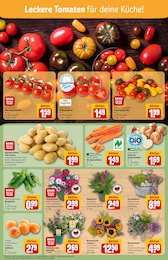 REWE Blumen im Prospekt REWE Blumen im Prospekt