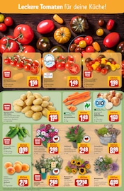 Aktueller REWE Prospekt mit Blumen, "Dein Markt", Seite 7