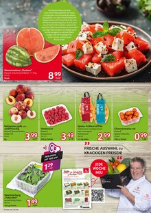 Tomaten im Selgros Prospekt "HIER KAUFEN PROFIS & GENIESSER" mit 28 Seiten (Moers)