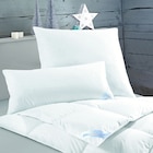 Federkissen medium im Möbel Inhofer Prospekt Federkissen medium von PRONIGHT im aktuellen Möbel Inhofer Prospekt für 25,00 €