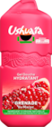 GEL DOUCHE HYDRATANT GRENADE  USHUAIA - USHUAIA à 4,25 € dans le catalogue Auchan Hypermarché