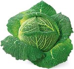 Wirsing Angebote von REWE Regional bei REWE Reutlingen für 0,99 €