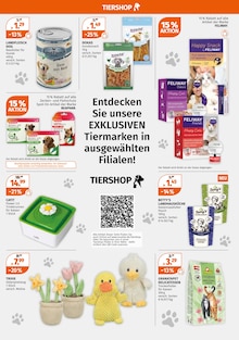 Blumentopf im Müller Prospekt "Aktuelle Angebote" mit 30 Seiten (Düsseldorf)